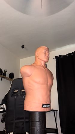 Bob punching bag