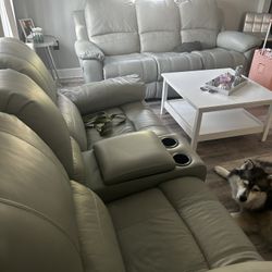 Living room sofa and loveseat