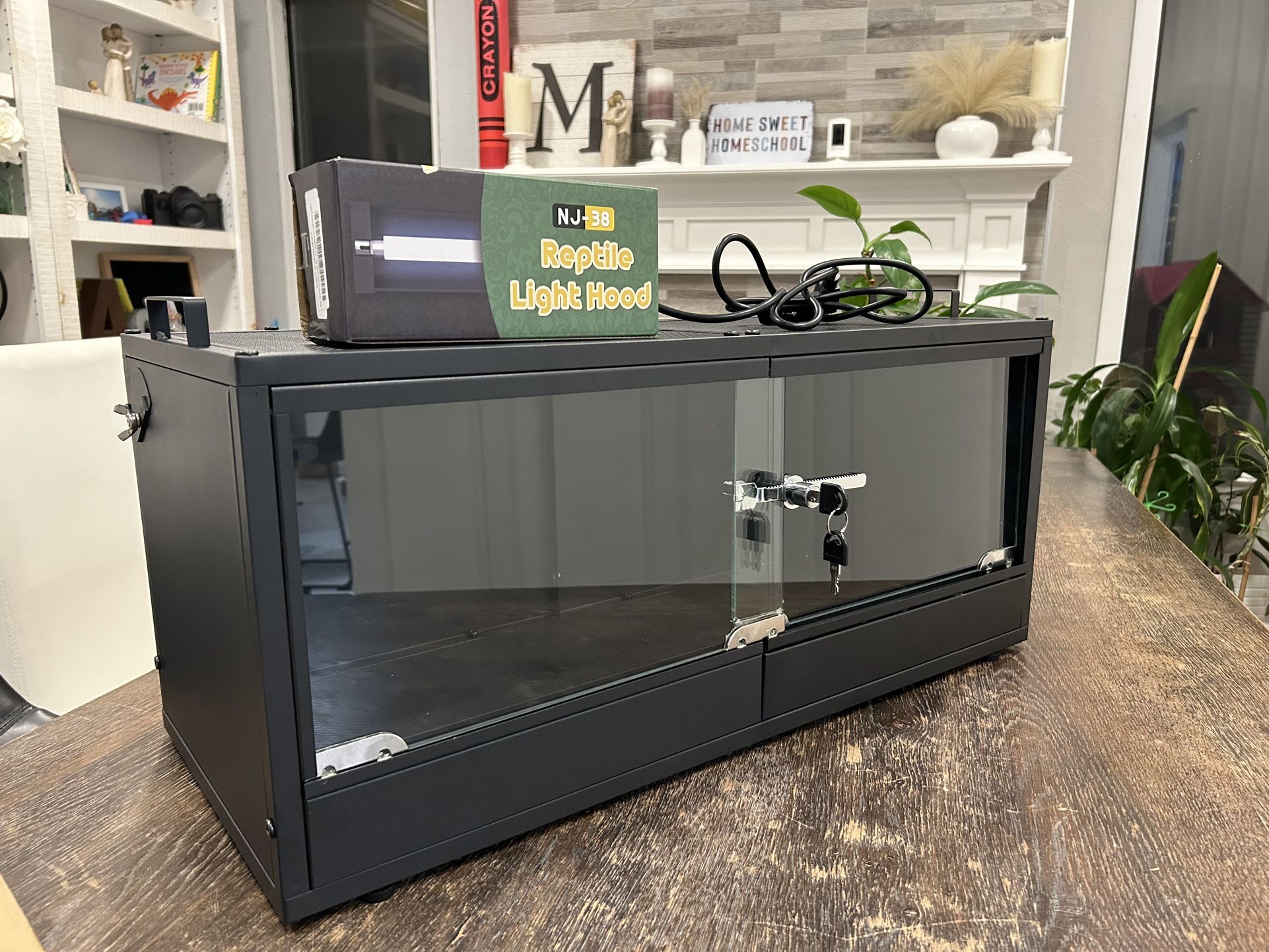 $40 Lizard Terrarium And Light 