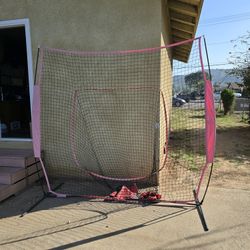 Pitching/Hitting Net