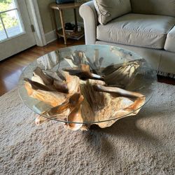 42” Glass Top Teakroot Branches Coffee Table 