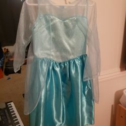 5$ DISNEY ELSA FROZEN LET IT GO DRESS COSTUME