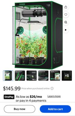 Grow tent and lights