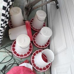 Chicken Feeders