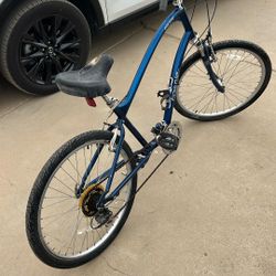 Electra townie 21 Speed Bike