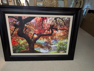 Autumn Oak Tree