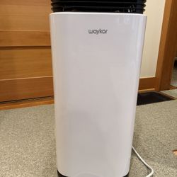 Waykar Dehumidifier