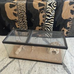 reptile gecko snake enclosure 