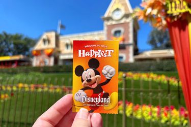 Disneyland Ticket
