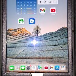 Apple IPad 4 Mini
