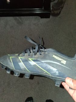 Predators 6.5