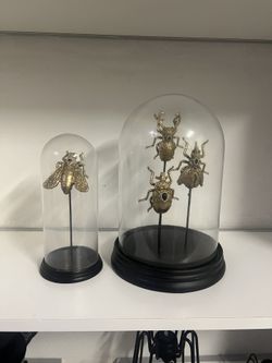 Halloween Gold Jeweled Beetle Cloches Decoration