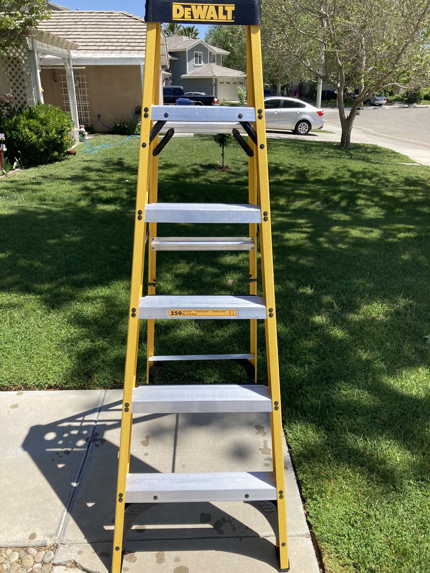 DeWalt Ladder