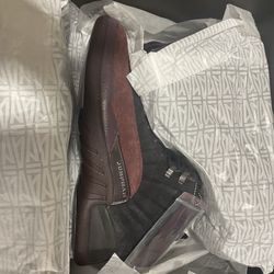 Jordan 12s Am Ammaniers DS Size 13 Mens 
