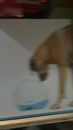 IFetch TOO toy for dogs