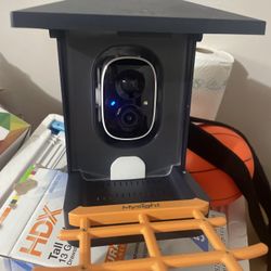 1296P Smart Bird Feeder Cam can use as security camera