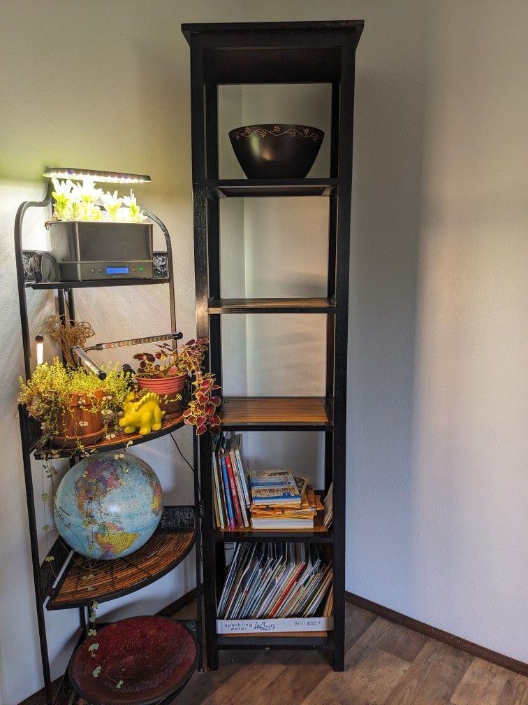 Bamboo Bookshelf