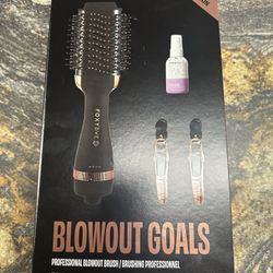 Brand New Blowout Brush And Hair Clips