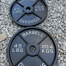 Rogue Fitness 45lb Olympic Plate Pair