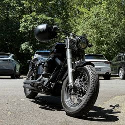 2017 Harley Davidson FLS