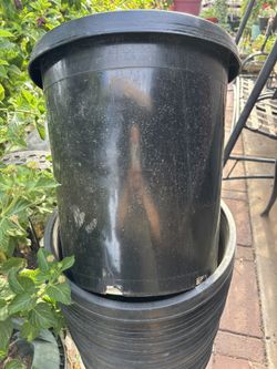 15  gal plastic Planters