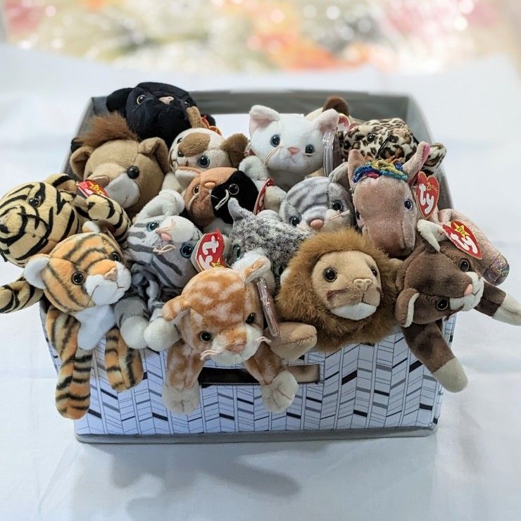 Ty Beanie Baby Lot Of 16 for Sale in Cape Coral, FL - OfferUp