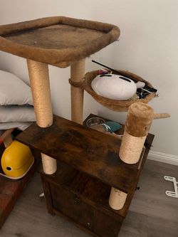 Cat stand