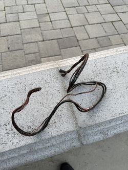 Reptile Vine Bendable Shapable