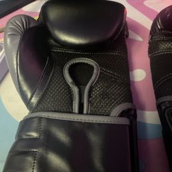 Everlast 16 Oz Boxing Gloves 