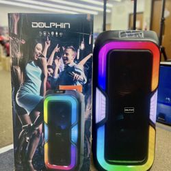 Dual 10" Rechargeable Bluetooth Portable Speaker  