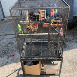 Bird Cage & Accessories 