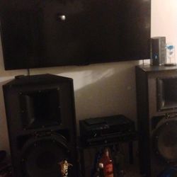 Pro Stereo Speakers 