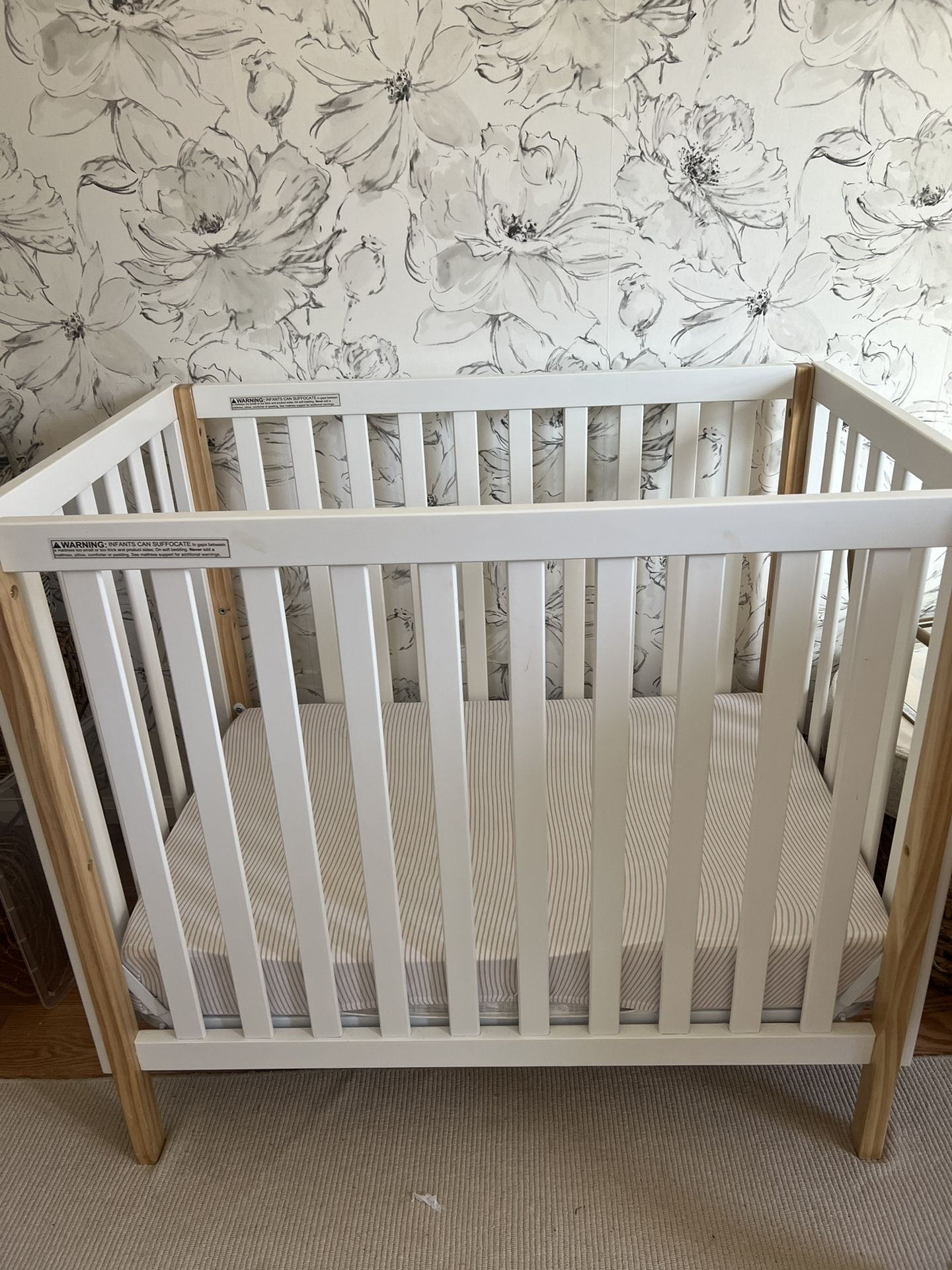 Delta children Mini Crib