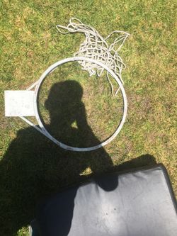 Basketball hoops