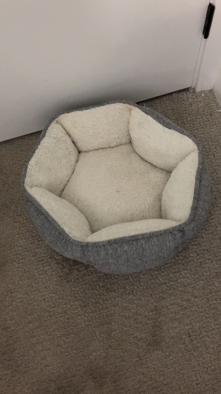 Dog Bed