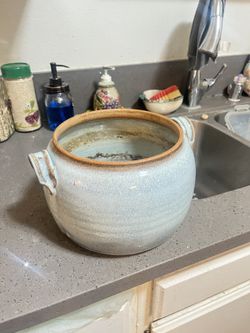 Vase for plants