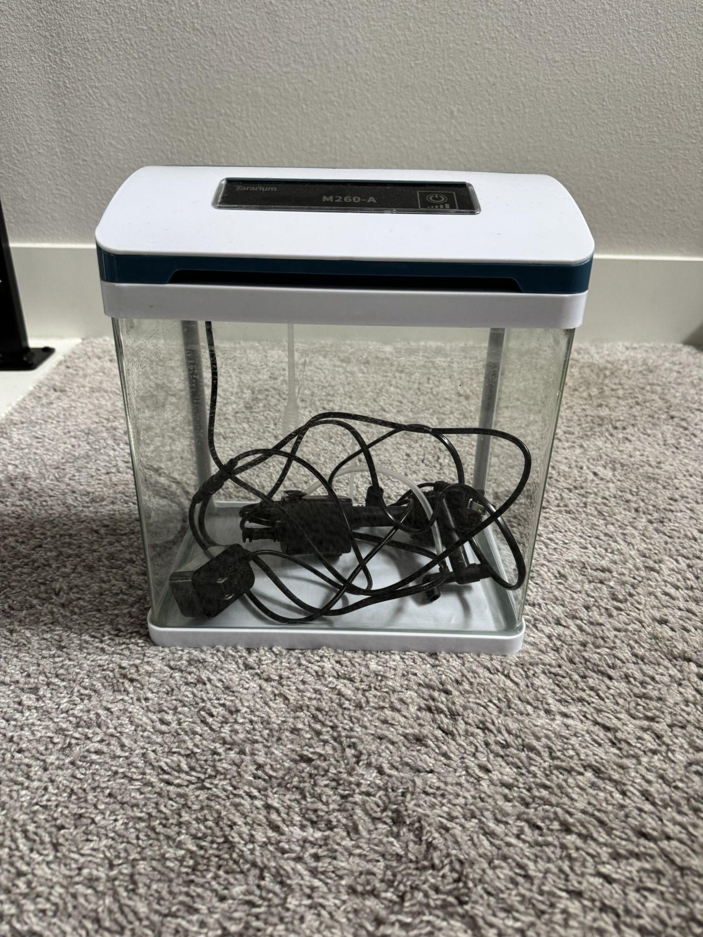 Fish tank - 2 Gallon