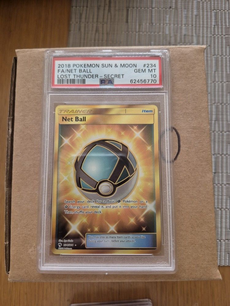 Pokemon PSA 10 Net Ball 234/214