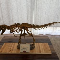Large 1:10 Tyrannosaurus Rex Skeleton Display – Museum Style Fossil Replica