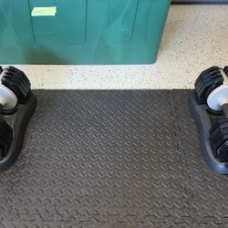 Adjustable dumbbells 