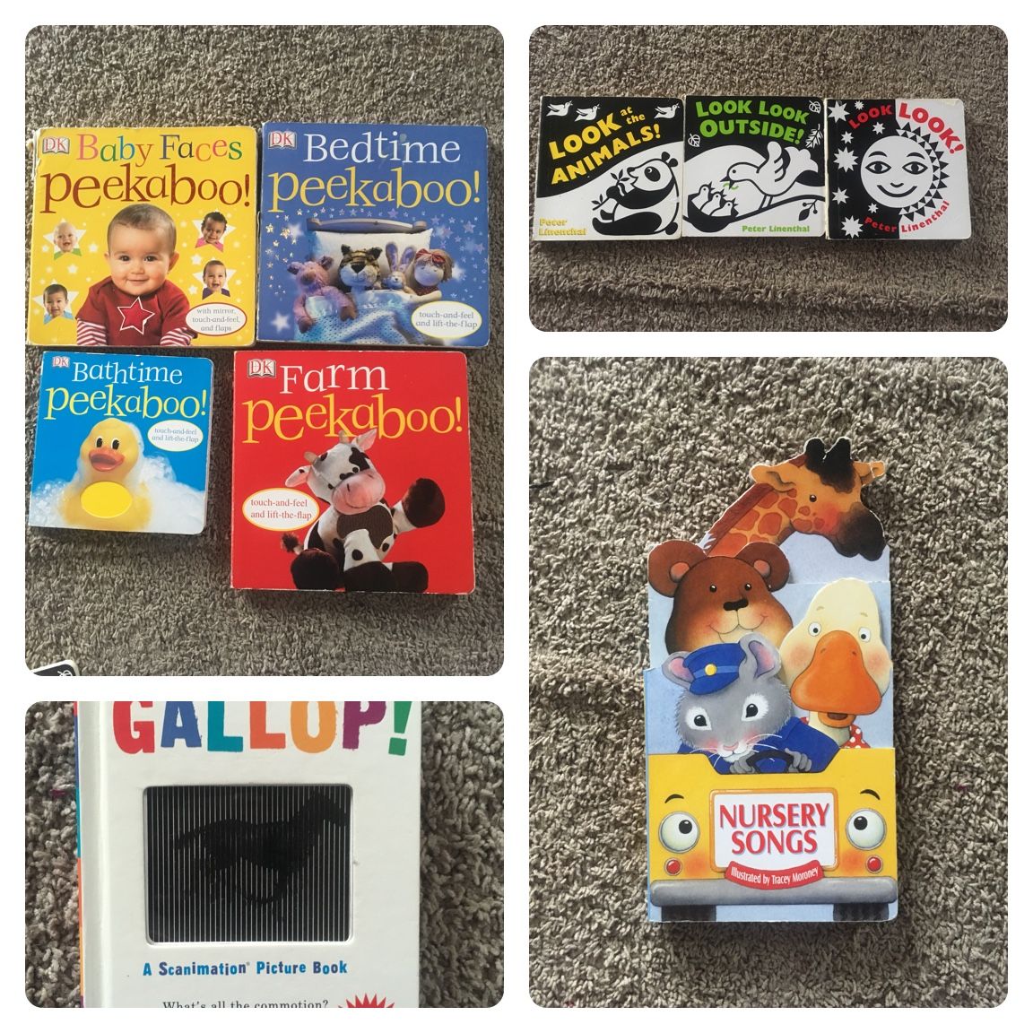 Book bundle
