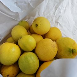 1 bag almost full of thoroughly washed organic lemons 5 only