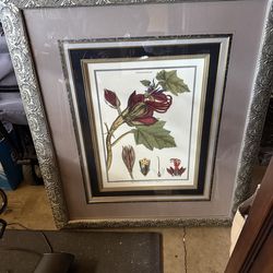 Panting with a frame