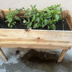 Wooden Planting Box