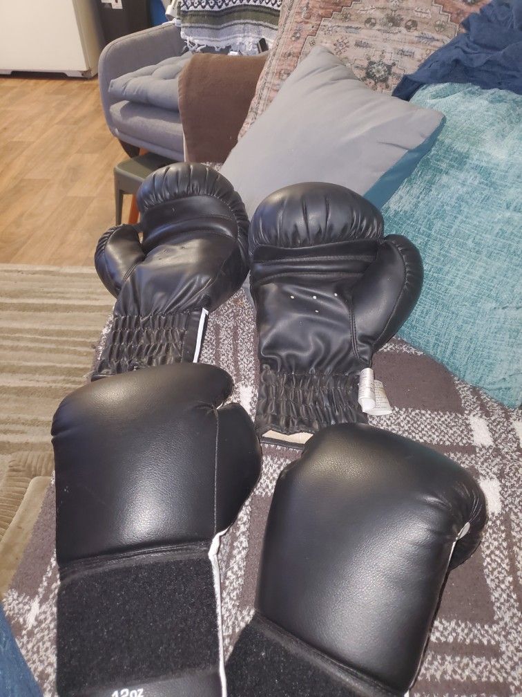 Punching Bag / With Gloves