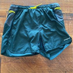 Men’s Patagonia Shorts Size L 
