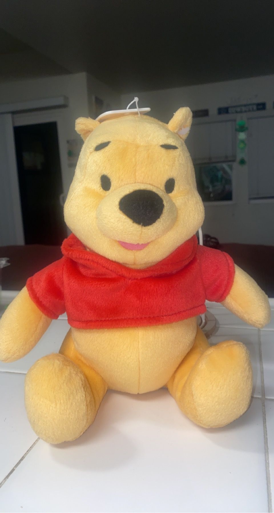 Winnie The Pooh Plush