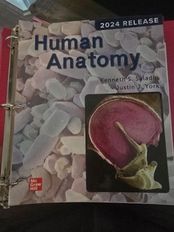 Human Anatomy Textbook Saladin York 2024