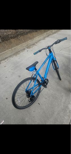 GIANT BIKE ADULT SIZE