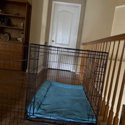 Large Wire Kennel & Accessories 